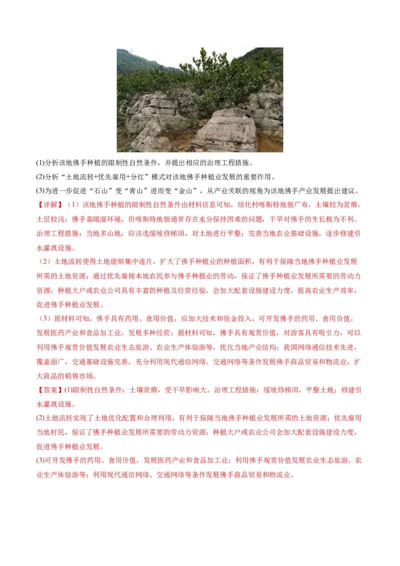 专题09产业区位与产业发展（讲义）（解析版）_2025年新高考资料_二轮复习_01高考语文等多个文件_2025年高三地理高考二轮复习专项提升_二轮讲义