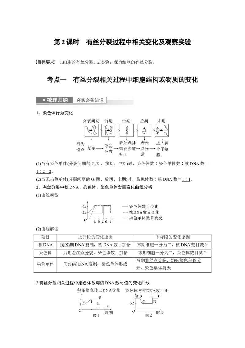 2023年高考生物一轮复习（全国版）第4单元第2课时　有丝分裂过程中相关变化及观察实验_通用版（老高考）复习资料_2023年复习资料_一轮复习_2023年高考生物一轮复习讲义+课件（全国版）