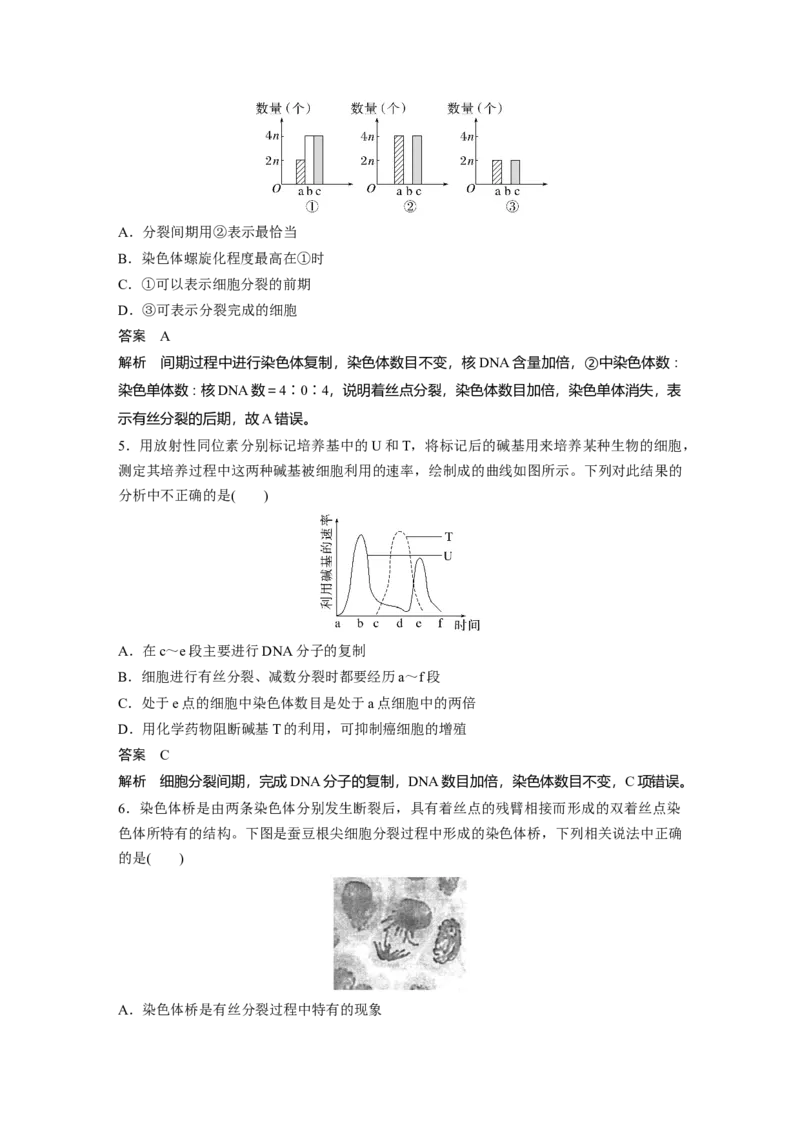2023年高考生物一轮复习（全国版）第4单元第2课时　有丝分裂过程中相关变化及观察实验_通用版（老高考）复习资料_2023年复习资料_一轮复习_2023年高考生物一轮复习讲义+课件（全国版）