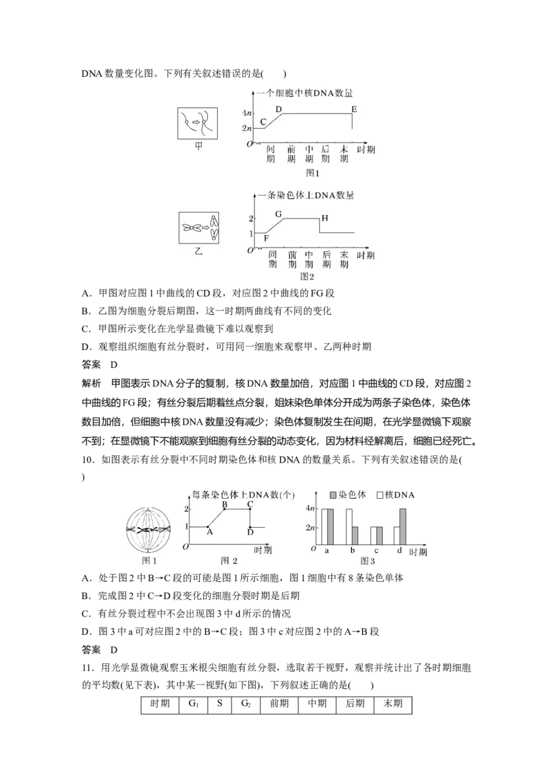 2023年高考生物一轮复习（全国版）第4单元第2课时　有丝分裂过程中相关变化及观察实验_通用版（老高考）复习资料_2023年复习资料_一轮复习_2023年高考生物一轮复习讲义+课件（全国版）