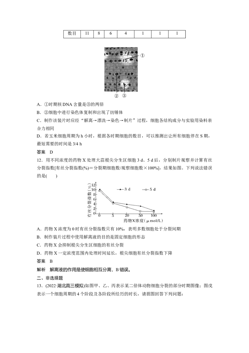 2023年高考生物一轮复习（全国版）第4单元第2课时　有丝分裂过程中相关变化及观察实验_通用版（老高考）复习资料_2023年复习资料_一轮复习_2023年高考生物一轮复习讲义+课件（全国版）