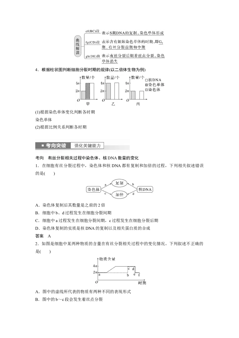 2023年高考生物一轮复习（全国版）第4单元第2课时　有丝分裂过程中相关变化及观察实验_通用版（老高考）复习资料_2023年复习资料_一轮复习_2023年高考生物一轮复习讲义+课件（全国版）