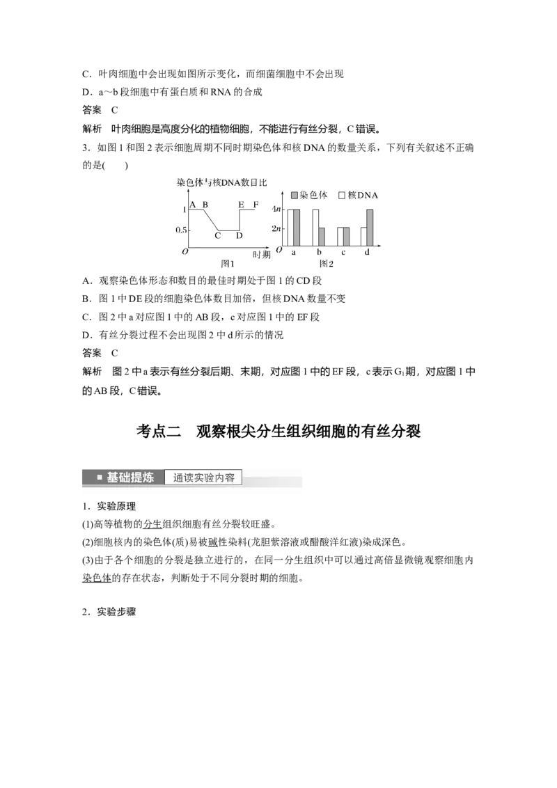 2023年高考生物一轮复习（全国版）第4单元第2课时　有丝分裂过程中相关变化及观察实验_通用版（老高考）复习资料_2023年复习资料_一轮复习_2023年高考生物一轮复习讲义+课件（全国版）