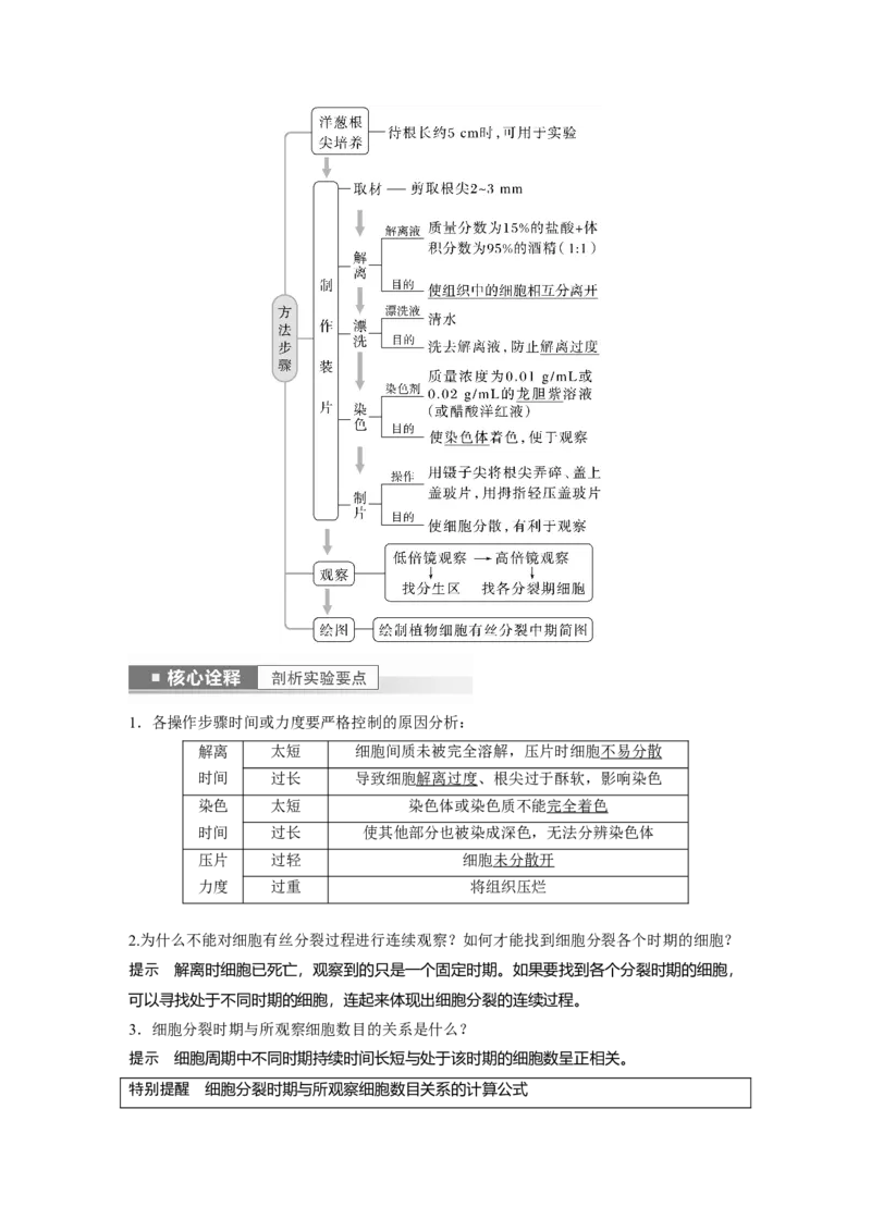 2023年高考生物一轮复习（全国版）第4单元第2课时　有丝分裂过程中相关变化及观察实验_通用版（老高考）复习资料_2023年复习资料_一轮复习_2023年高考生物一轮复习讲义+课件（全国版）
