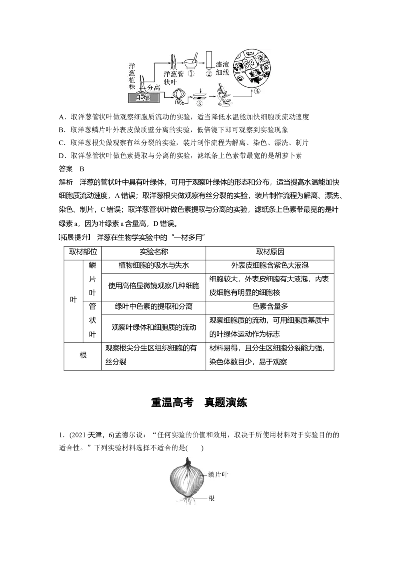 2023年高考生物一轮复习（全国版）第4单元第2课时　有丝分裂过程中相关变化及观察实验_通用版（老高考）复习资料_2023年复习资料_一轮复习_2023年高考生物一轮复习讲义+课件（全国版）