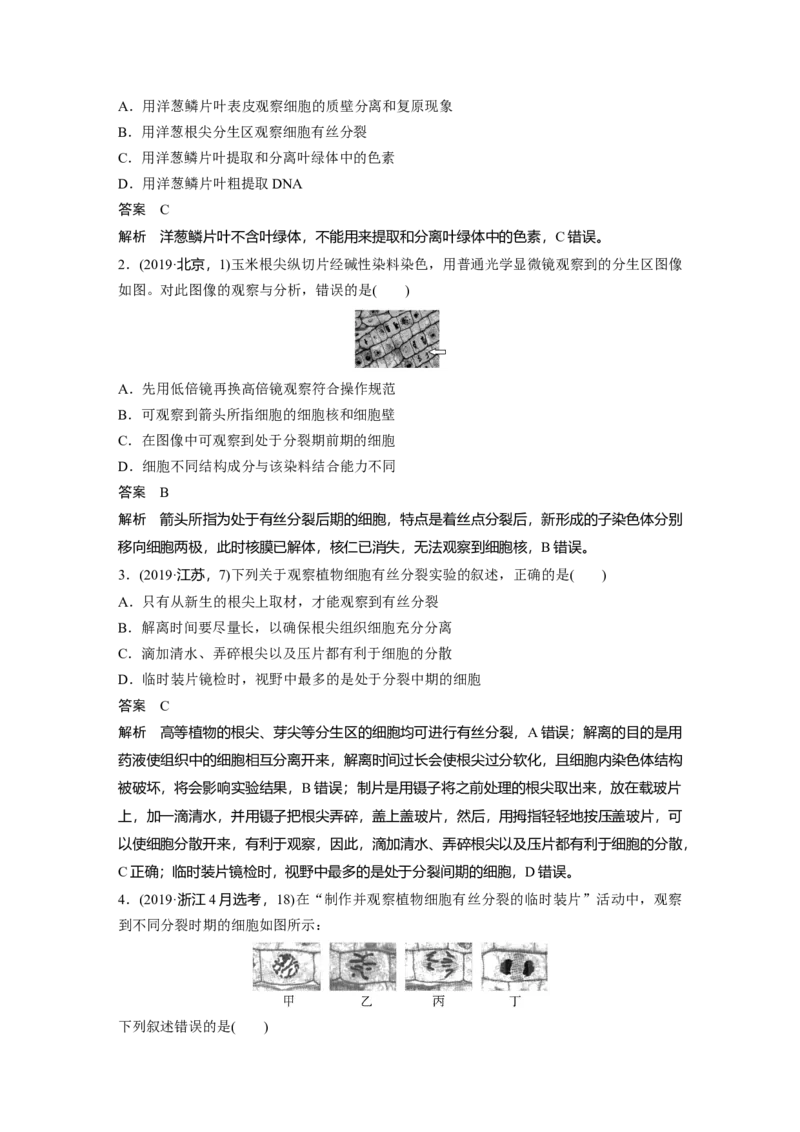 2023年高考生物一轮复习（全国版）第4单元第2课时　有丝分裂过程中相关变化及观察实验_通用版（老高考）复习资料_2023年复习资料_一轮复习_2023年高考生物一轮复习讲义+课件（全国版）