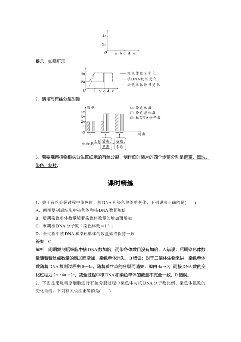 2023年高考生物一轮复习（全国版）第4单元第2课时　有丝分裂过程中相关变化及观察实验_通用版（老高考）复习资料_2023年复习资料_一轮复习_2023年高考生物一轮复习讲义+课件（全国版）