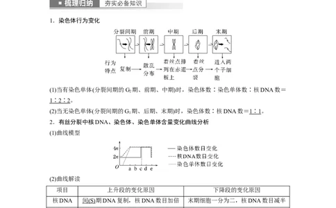 2023年高考生物一轮复习（全国版）第4单元第2课时　有丝分裂过程中相关变化及观察实验_通用版（老高考）复习资料_2023年复习资料_一轮复习_2023年高考生物一轮复习讲义+课件（全国版）