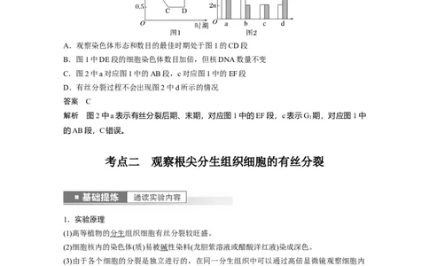 2023年高考生物一轮复习（全国版）第4单元第2课时　有丝分裂过程中相关变化及观察实验_通用版（老高考）复习资料_2023年复习资料_一轮复习_2023年高考生物一轮复习讲义+课件（全国版）