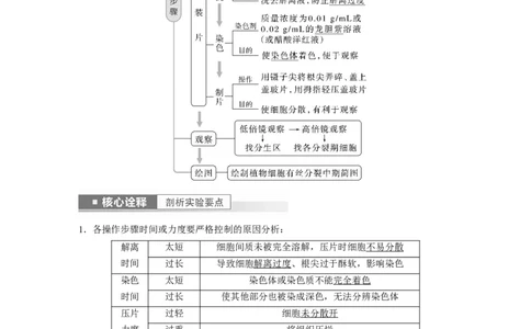 2023年高考生物一轮复习（全国版）第4单元第2课时　有丝分裂过程中相关变化及观察实验_通用版（老高考）复习资料_2023年复习资料_一轮复习_2023年高考生物一轮复习讲义+课件（全国版）