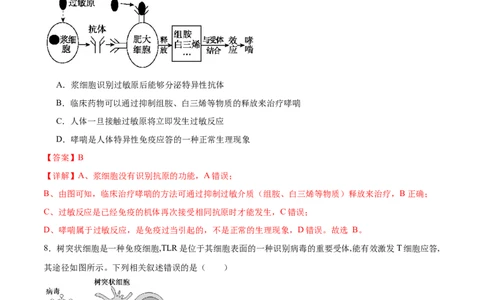 第12讲免疫调节（练习）（解析版）_2024年新高考资料_2.2024二轮复习_2024年高考生物二轮复习讲练测（新教材新高考）