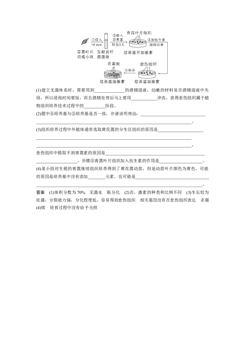 2023年高考生物一轮复习（新人教新高考）第10单元第3课时　植物细胞工程_新高考复习资料_2023年新高考复习资料_一轮复习_2023年新高考大一轮复习讲义