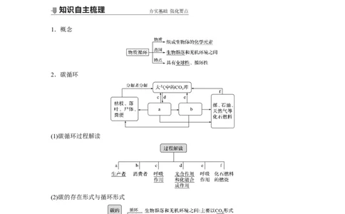 2022年高考生物一轮复习第9单元第31讲　生态系统的物质循环、信息传递及其稳定性_新高考复习资料_2022年新高考复习资料_2022年一轮复习最新版