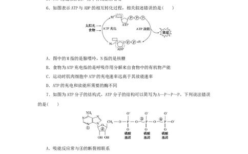 2023版新教材高考生物微专题小练习专练19细胞的能量&ldquo;货币&rdquo;ATP202208091183_通用版（老高考）复习资料_2023年复习资料_一轮复习_2023届高考生物一轮微专题100练