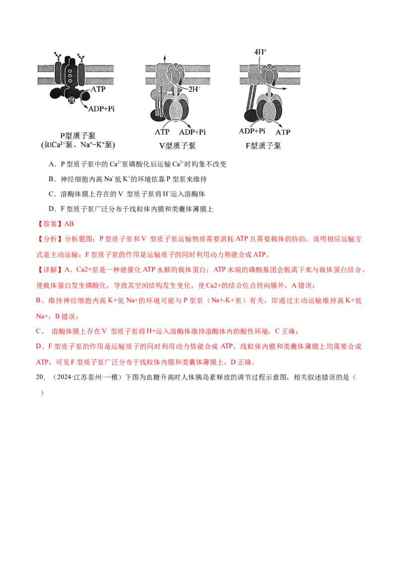 押江苏卷选择题细胞的能量供应和利用（解析版）_2024年新高考资料_5.2024三轮冲刺_备战2024年高考生物临考题号押题（江苏专用）322855714