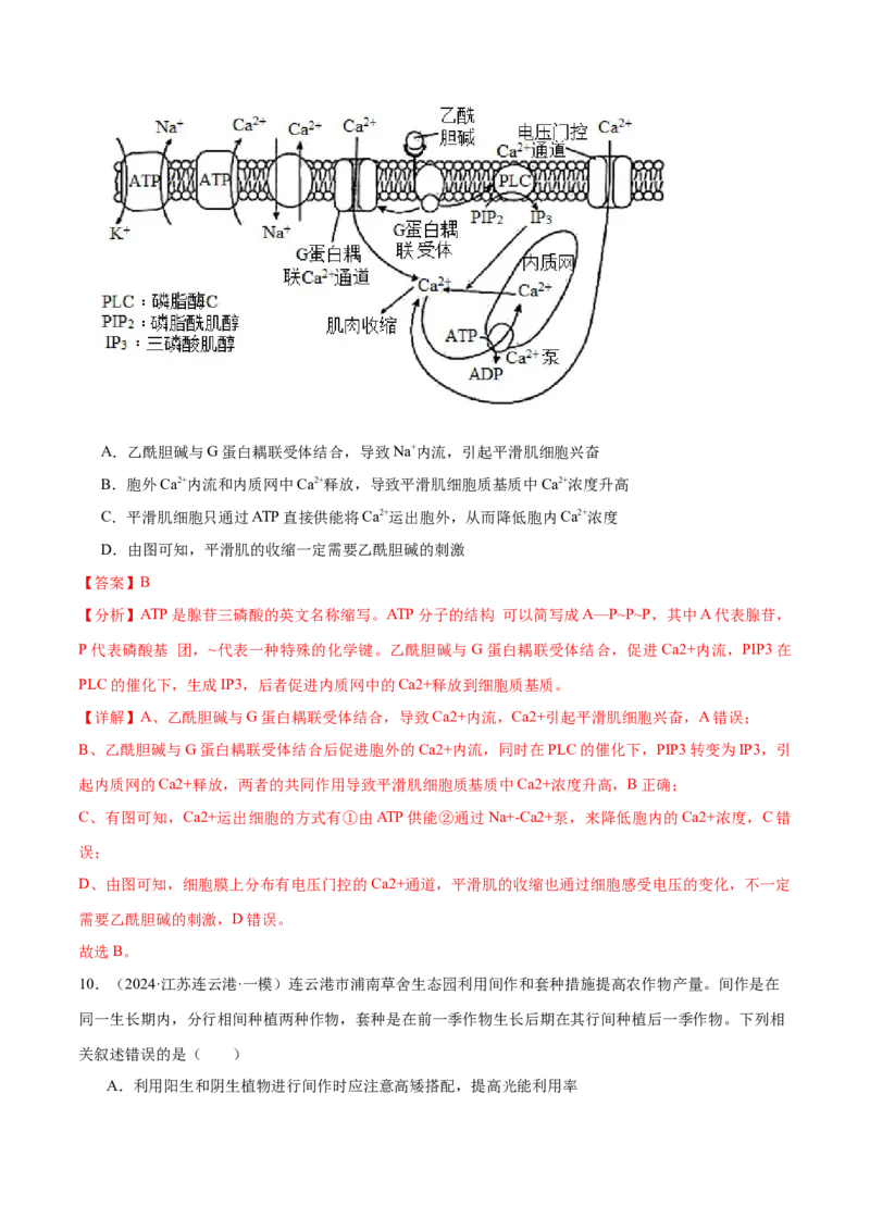 押江苏卷选择题细胞的能量供应和利用（解析版）_2024年新高考资料_5.2024三轮冲刺_备战2024年高考生物临考题号押题（江苏专用）322855714