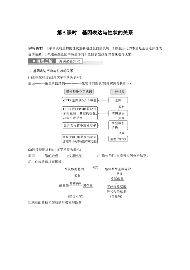 2023年高考生物一轮复习（新人教新高考）第6单元第5课时　基因表达与性状的关系_新高考复习资料_2023年新高考复习资料_一轮复习_2023年新高考大一轮复习讲义