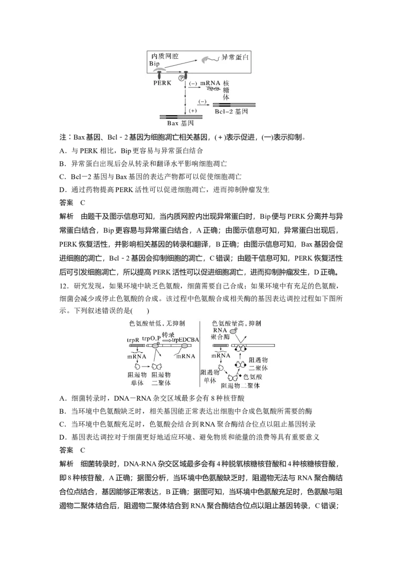 2023年高考生物一轮复习（新人教新高考）第6单元第5课时　基因表达与性状的关系_新高考复习资料_2023年新高考复习资料_一轮复习_2023年新高考大一轮复习讲义