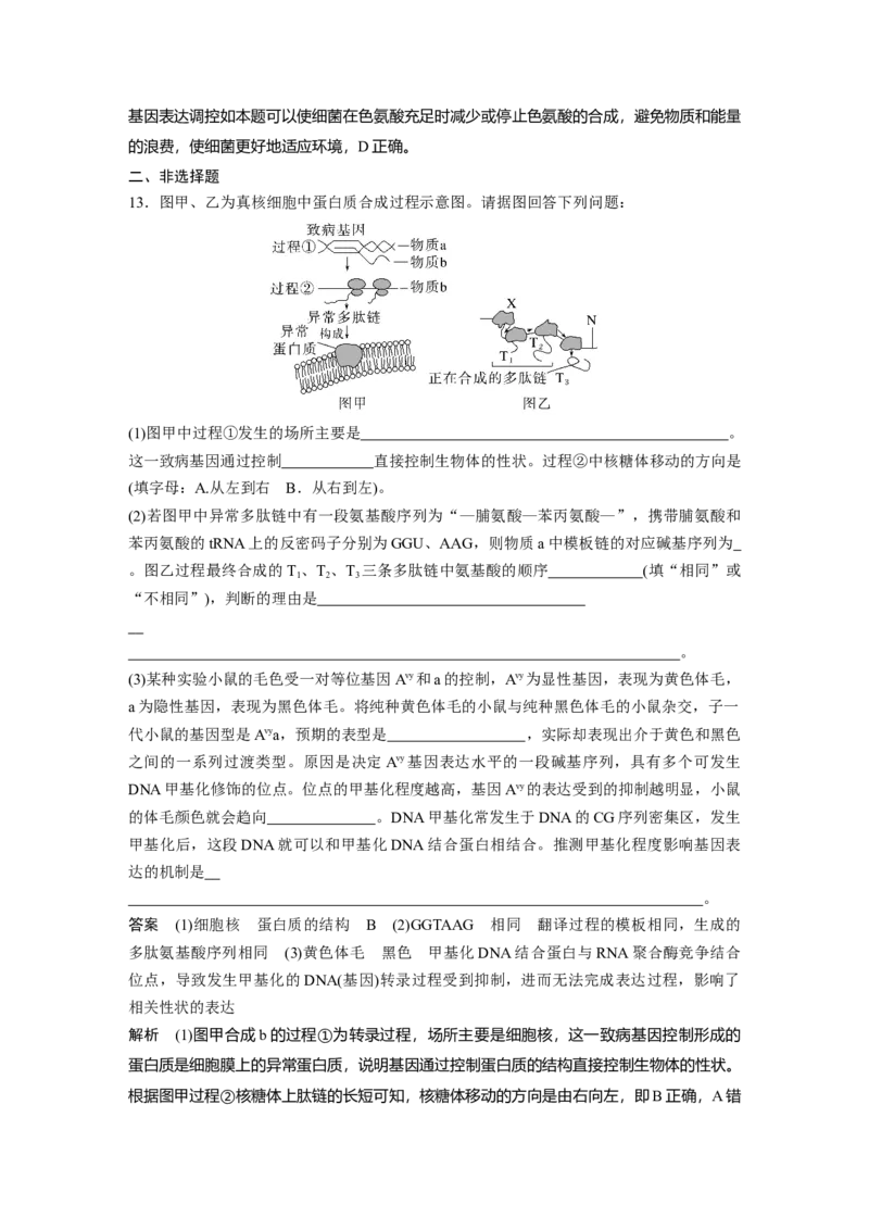 2023年高考生物一轮复习（新人教新高考）第6单元第5课时　基因表达与性状的关系_新高考复习资料_2023年新高考复习资料_一轮复习_2023年新高考大一轮复习讲义