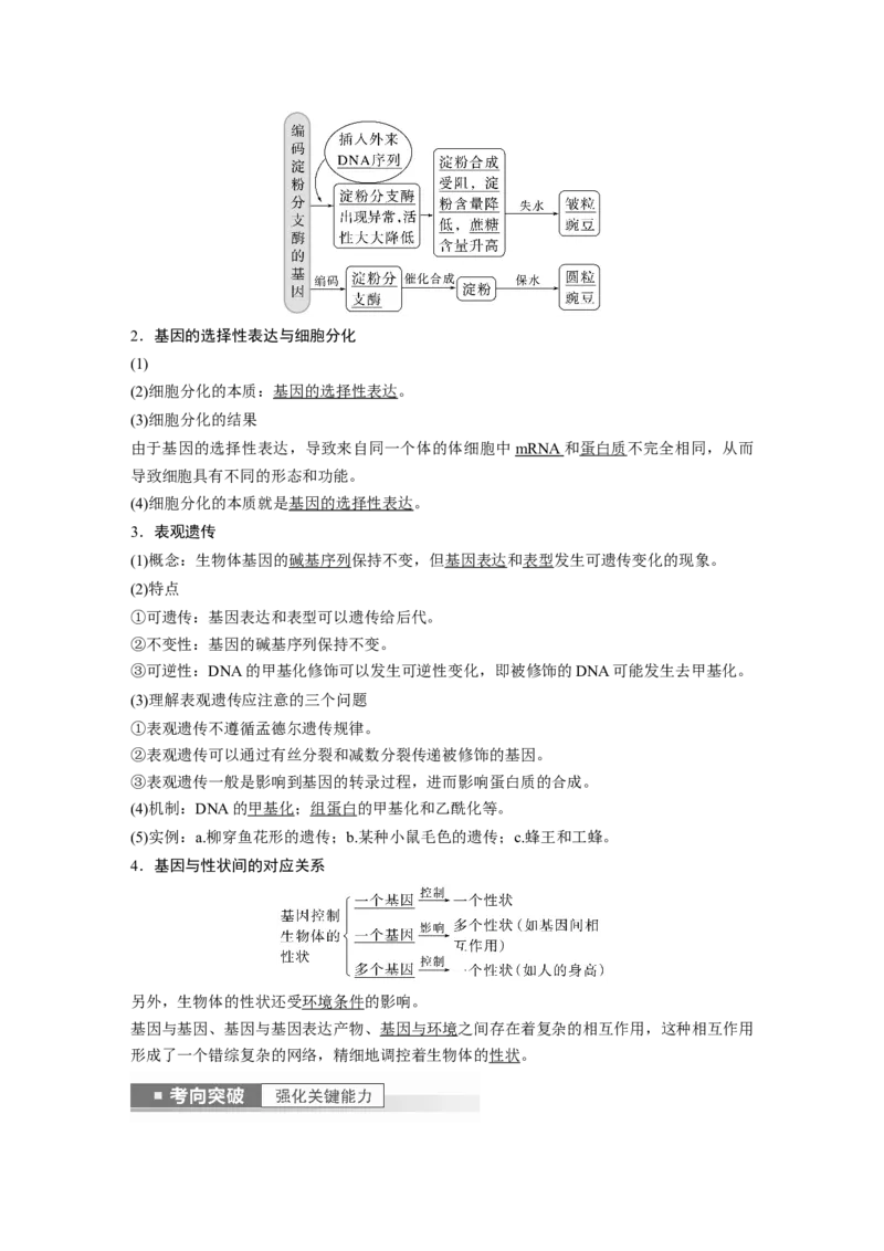 2023年高考生物一轮复习（新人教新高考）第6单元第5课时　基因表达与性状的关系_新高考复习资料_2023年新高考复习资料_一轮复习_2023年新高考大一轮复习讲义
