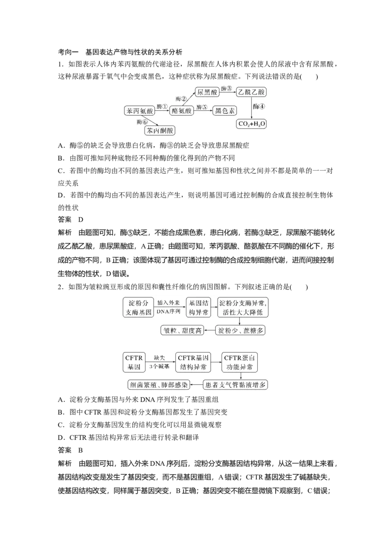 2023年高考生物一轮复习（新人教新高考）第6单元第5课时　基因表达与性状的关系_新高考复习资料_2023年新高考复习资料_一轮复习_2023年新高考大一轮复习讲义