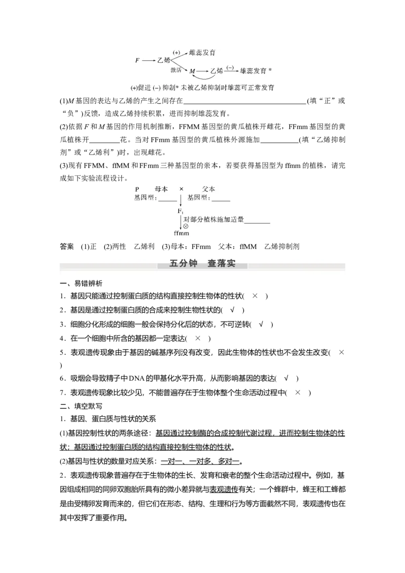 2023年高考生物一轮复习（新人教新高考）第6单元第5课时　基因表达与性状的关系_新高考复习资料_2023年新高考复习资料_一轮复习_2023年新高考大一轮复习讲义