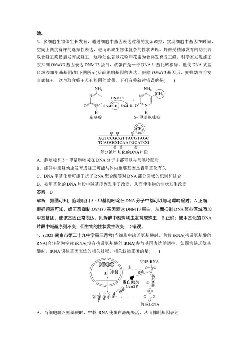 2023年高考生物一轮复习（新人教新高考）第6单元第5课时　基因表达与性状的关系_新高考复习资料_2023年新高考复习资料_一轮复习_2023年新高考大一轮复习讲义