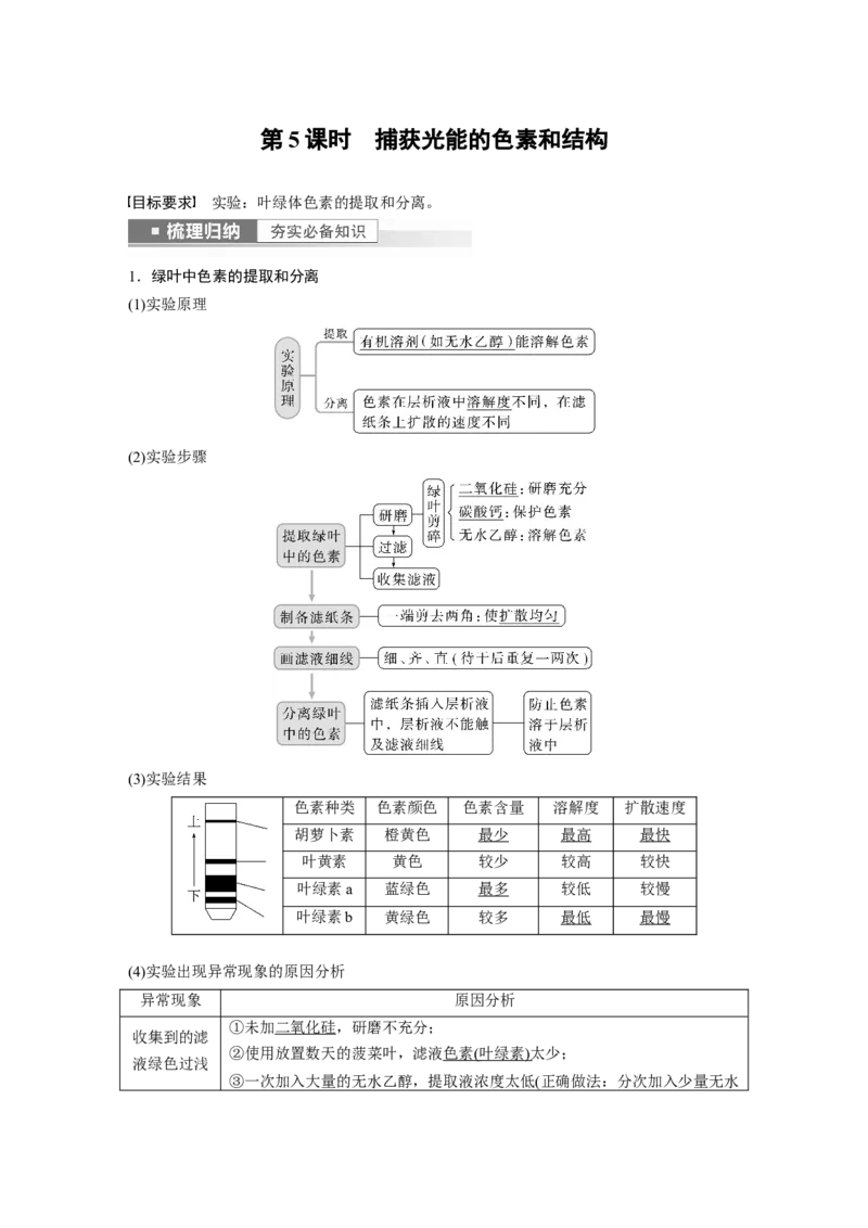 2023年高考生物一轮复习（全国版）第3单元第5课时　捕获光能的色素和结构_通用版（老高考）复习资料_2023年复习资料_一轮复习_2023年高考生物一轮复习讲义+课件（全国版）