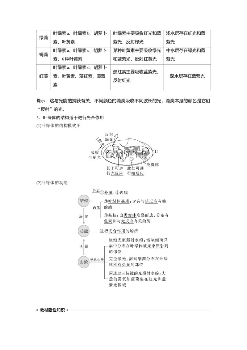 2023年高考生物一轮复习（全国版）第3单元第5课时　捕获光能的色素和结构_通用版（老高考）复习资料_2023年复习资料_一轮复习_2023年高考生物一轮复习讲义+课件（全国版）