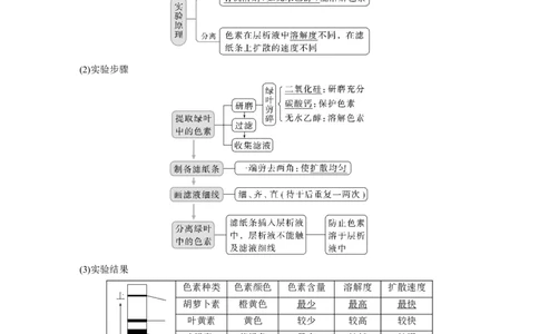 2023年高考生物一轮复习（全国版）第3单元第5课时　捕获光能的色素和结构_通用版（老高考）复习资料_2023年复习资料_一轮复习_2023年高考生物一轮复习讲义+课件（全国版）