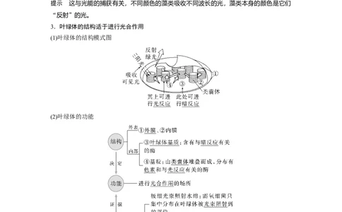 2023年高考生物一轮复习（全国版）第3单元第5课时　捕获光能的色素和结构_通用版（老高考）复习资料_2023年复习资料_一轮复习_2023年高考生物一轮复习讲义+课件（全国版）