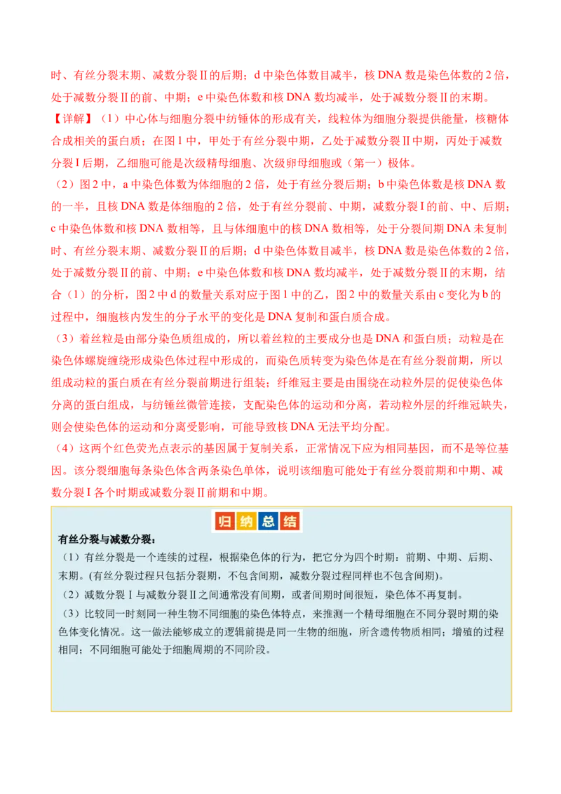 第05讲细胞的增殖与受精作用（讲义）解析版_2024年新高考资料_2.2024二轮复习_2024年高考生物二轮复习讲练测（新教材新高考）