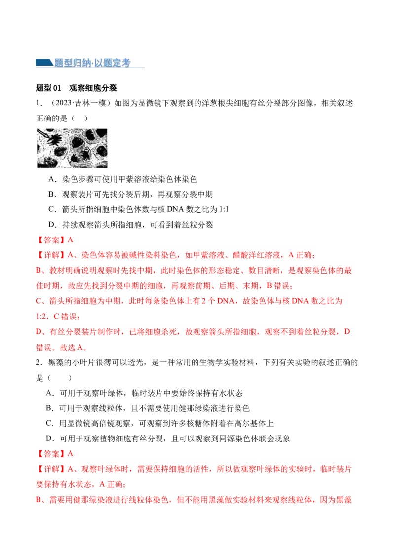 第05讲细胞的增殖与受精作用（讲义）解析版_2024年新高考资料_2.2024二轮复习_2024年高考生物二轮复习讲练测（新教材新高考）