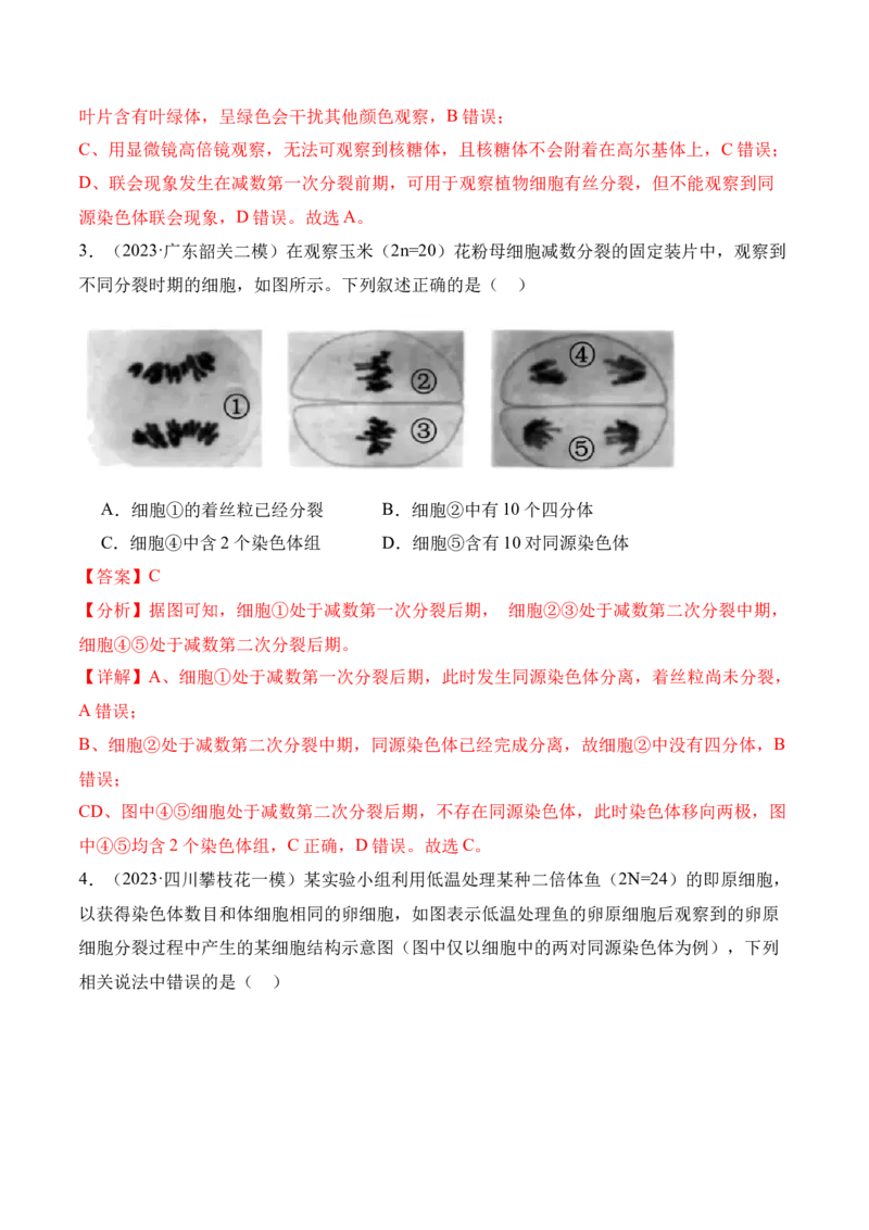 第05讲细胞的增殖与受精作用（讲义）解析版_2024年新高考资料_2.2024二轮复习_2024年高考生物二轮复习讲练测（新教材新高考）