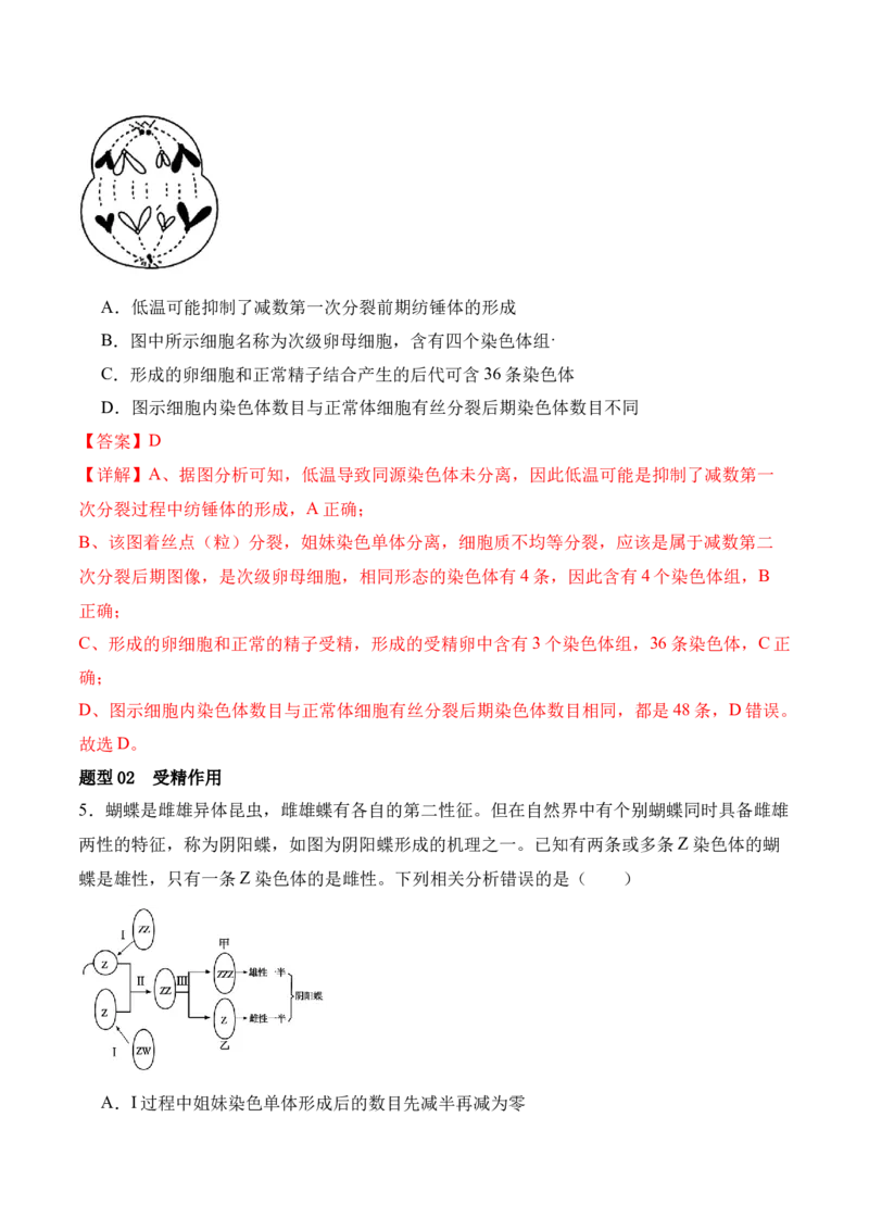第05讲细胞的增殖与受精作用（讲义）解析版_2024年新高考资料_2.2024二轮复习_2024年高考生物二轮复习讲练测（新教材新高考）