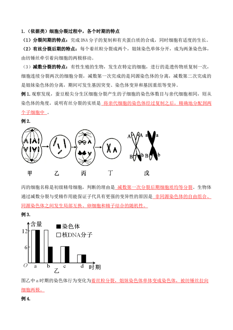 第05讲细胞的增殖与受精作用（讲义）解析版_2024年新高考资料_2.2024二轮复习_2024年高考生物二轮复习讲练测（新教材新高考）