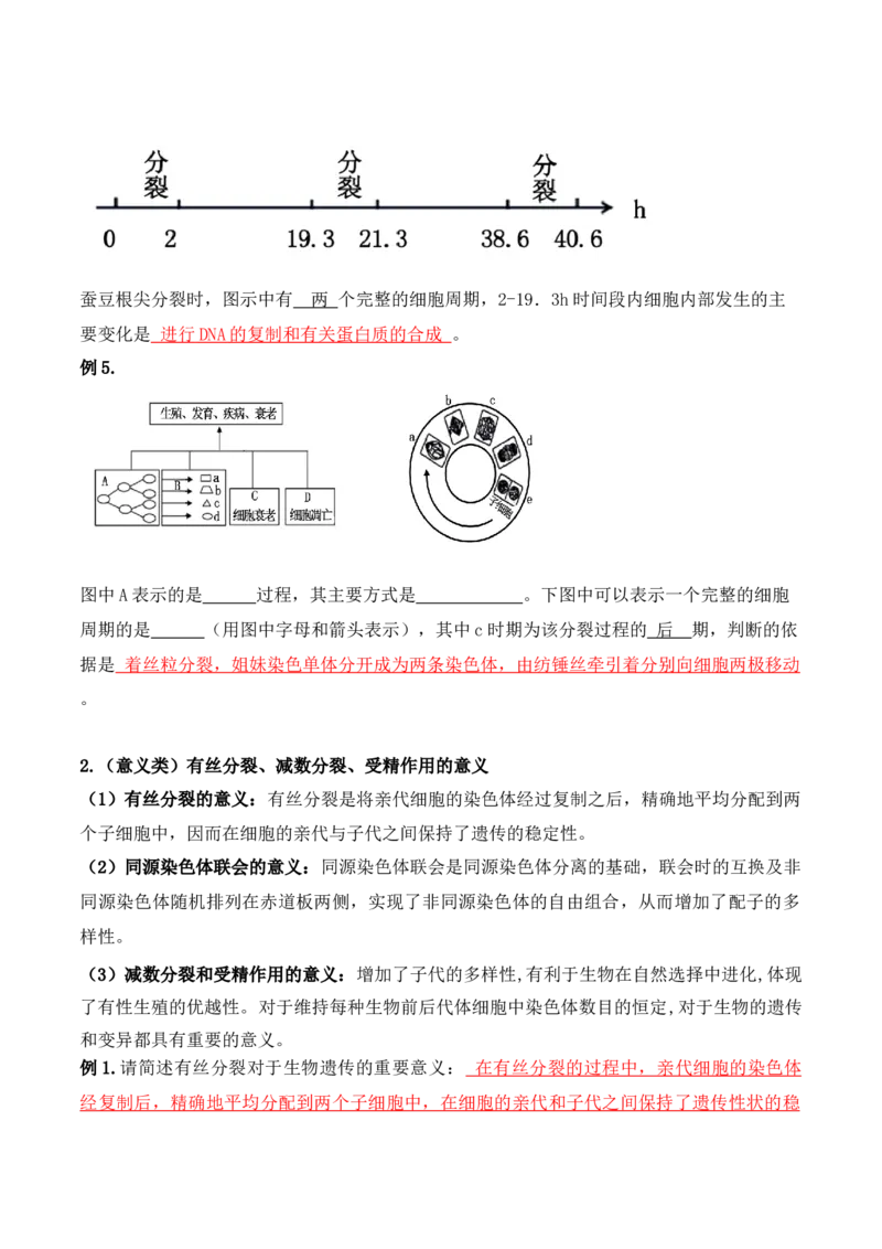 第05讲细胞的增殖与受精作用（讲义）解析版_2024年新高考资料_2.2024二轮复习_2024年高考生物二轮复习讲练测（新教材新高考）