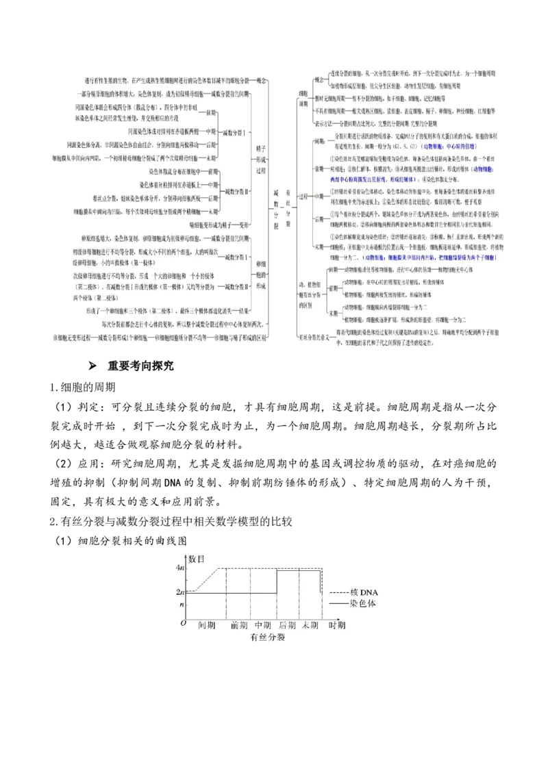 第05讲细胞的增殖与受精作用（讲义）解析版_2024年新高考资料_2.2024二轮复习_2024年高考生物二轮复习讲练测（新教材新高考）