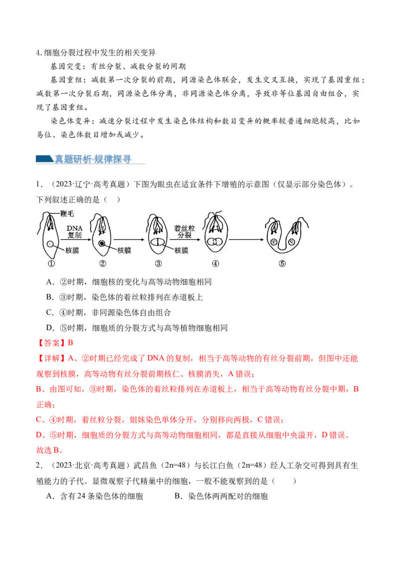 第05讲细胞的增殖与受精作用（讲义）解析版_2024年新高考资料_2.2024二轮复习_2024年高考生物二轮复习讲练测（新教材新高考）