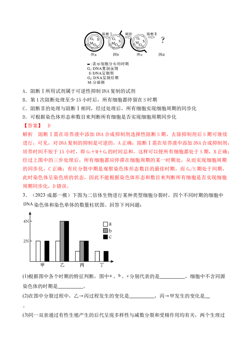 第05讲细胞的增殖与受精作用（讲义）解析版_2024年新高考资料_2.2024二轮复习_2024年高考生物二轮复习讲练测（新教材新高考）