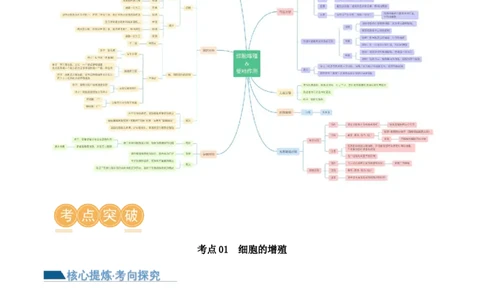 第05讲细胞的增殖与受精作用（讲义）解析版_2024年新高考资料_2.2024二轮复习_2024年高考生物二轮复习讲练测（新教材新高考）