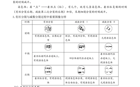 第05讲细胞的增殖与受精作用（讲义）解析版_2024年新高考资料_2.2024二轮复习_2024年高考生物二轮复习讲练测（新教材新高考）
