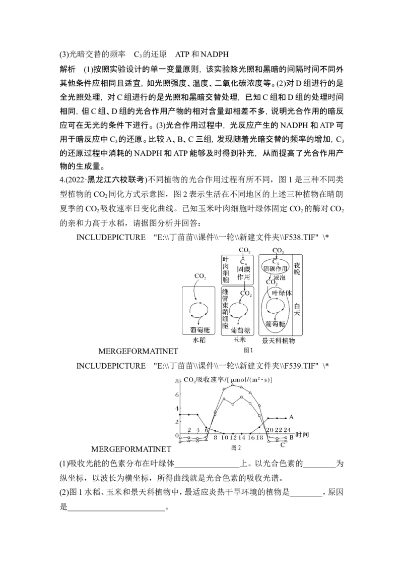 热点微练8光合作用与细胞呼吸的综合运用(尖子生特训)_2024年新高考资料_1.2024一轮复习_2024年高考生物一轮复习讲义（新人教版）_另附1套Word版题库_必修1_第三单元细胞的能量供应和利用