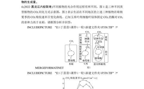 热点微练8光合作用与细胞呼吸的综合运用(尖子生特训)_2024年新高考资料_1.2024一轮复习_2024年高考生物一轮复习讲义（新人教版）_另附1套Word版题库_必修1_第三单元细胞的能量供应和利用