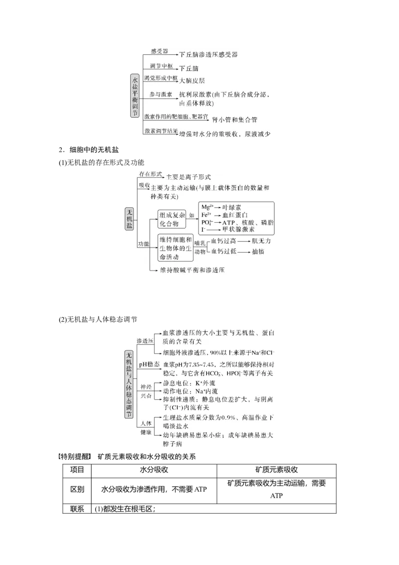2023年高考生物二轮复习（全国版）第1篇专题突破专题1考点1　水和无机盐_通用版（老高考）复习资料_2023年复习资料_二轮复习_2023年高考生物二轮复习讲义+课件（全国版）