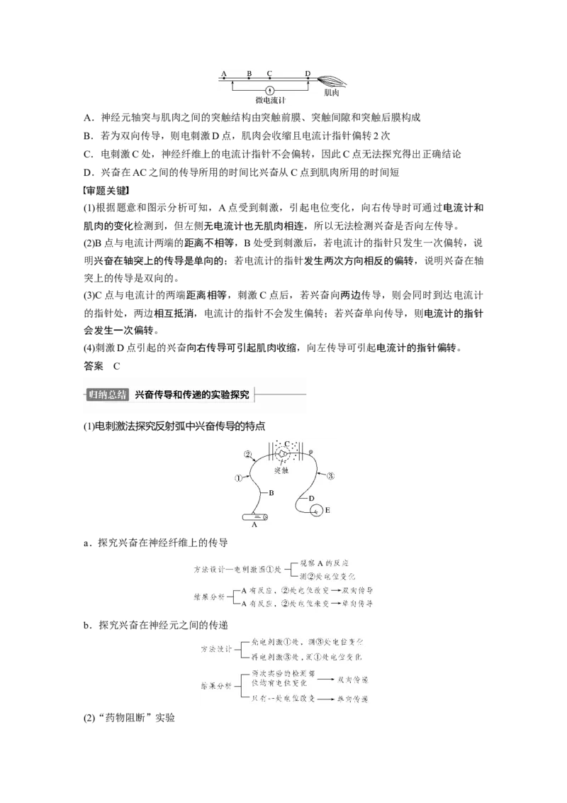 2022年高考生物一轮复习第8单元第24讲热点题型七兴奋传导与传递的相关实验探究题_新高考复习资料_2022年新高考复习资料_2022年一轮复习最新版