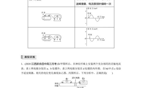 2022年高考生物一轮复习第8单元第24讲热点题型七兴奋传导与传递的相关实验探究题_新高考复习资料_2022年新高考复习资料_2022年一轮复习最新版