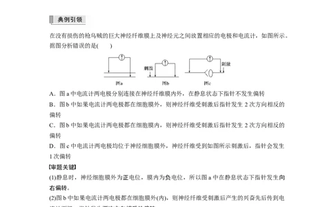 2022年高考生物一轮复习第8单元第24讲热点题型七兴奋传导与传递的相关实验探究题_新高考复习资料_2022年新高考复习资料_2022年一轮复习最新版