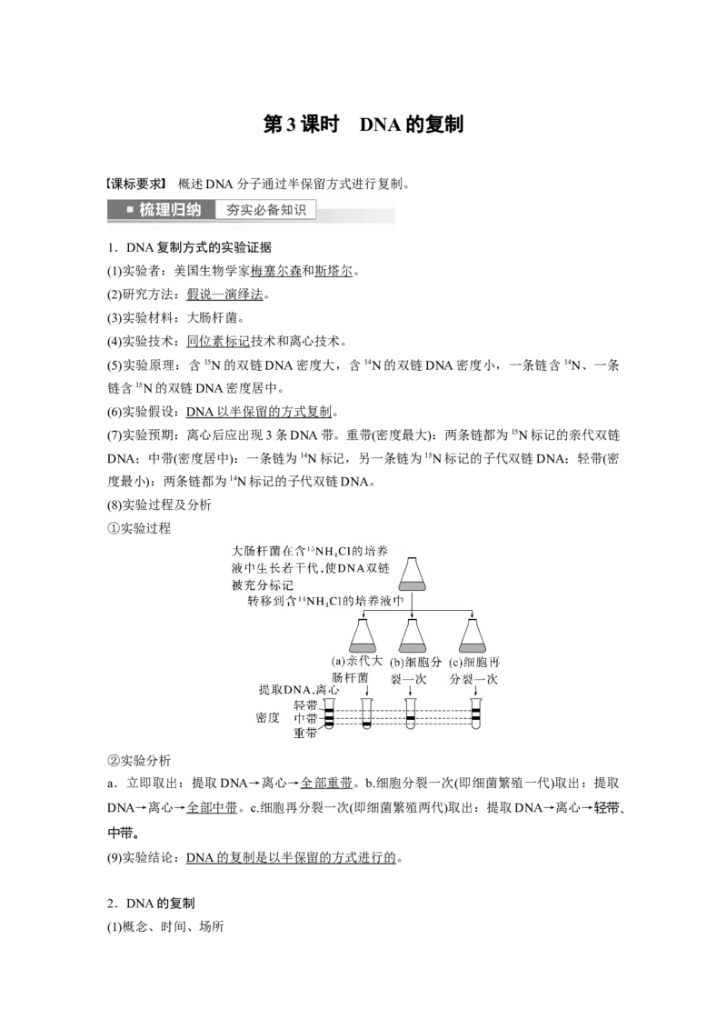 2023年高考生物一轮复习（新人教新高考）第6单元第3课时　DNA的复制_新高考复习资料_2023年新高考复习资料_一轮复习_2023年新高考大一轮复习讲义