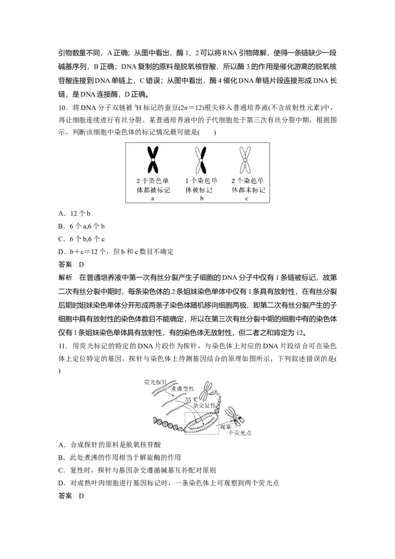 2023年高考生物一轮复习（新人教新高考）第6单元第3课时　DNA的复制_新高考复习资料_2023年新高考复习资料_一轮复习_2023年新高考大一轮复习讲义